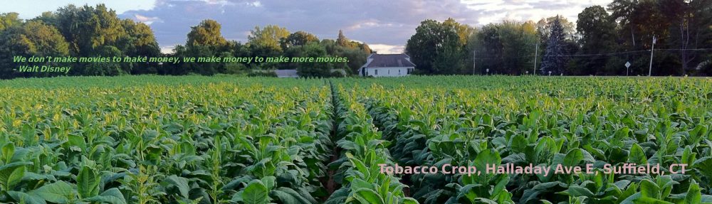 Pioneer Valley Films